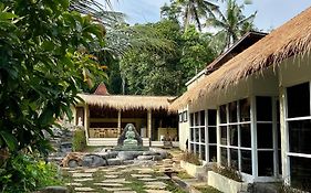 Bamboo Oasis